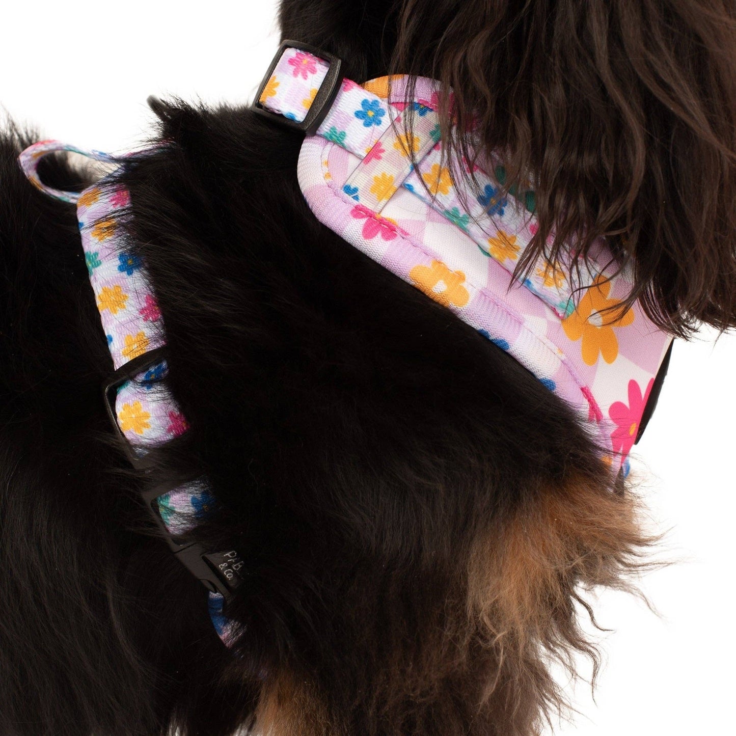 Delightful Daisies Adjustable Dog Harness