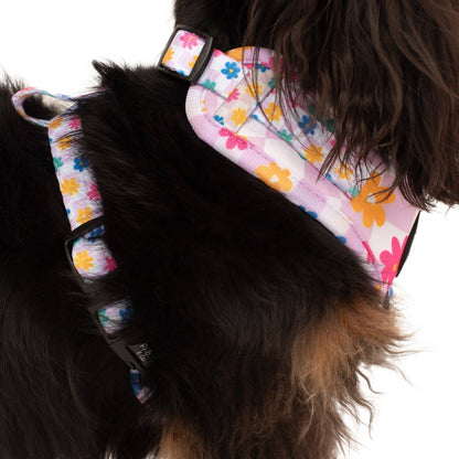 Delightful Daisies Adjustable Dog Harness