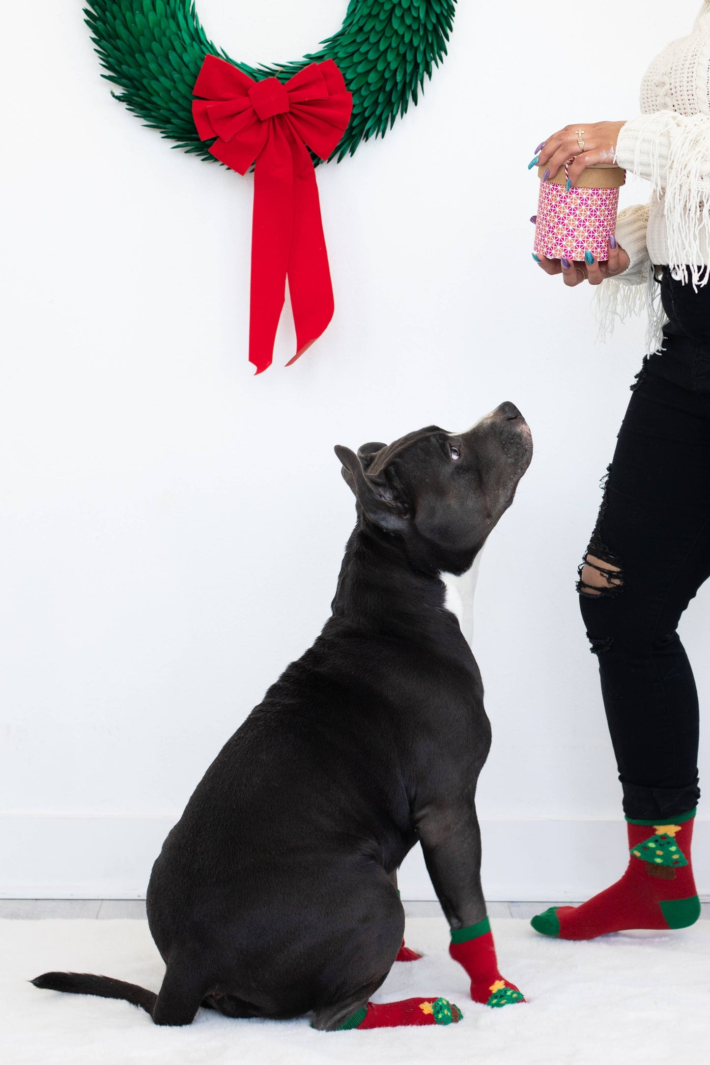 Human and Dog Matching Christmas Sock Set - Christmas Tree