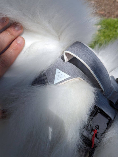 Magnetic Dog Harness with Handle – Magnetic Buckles, No-Pull