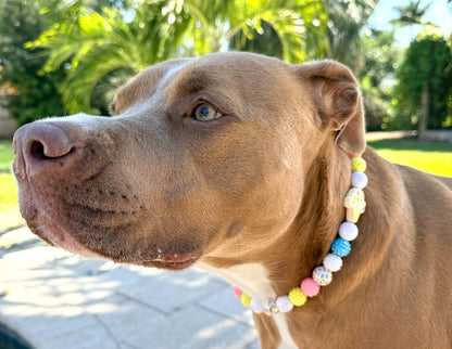 Gelato Pawsé Beaded Dog Collar