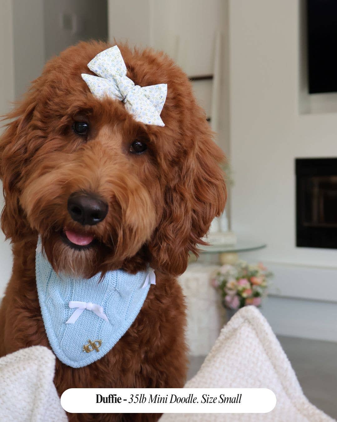 Spring Baby Blue Dog Bandana