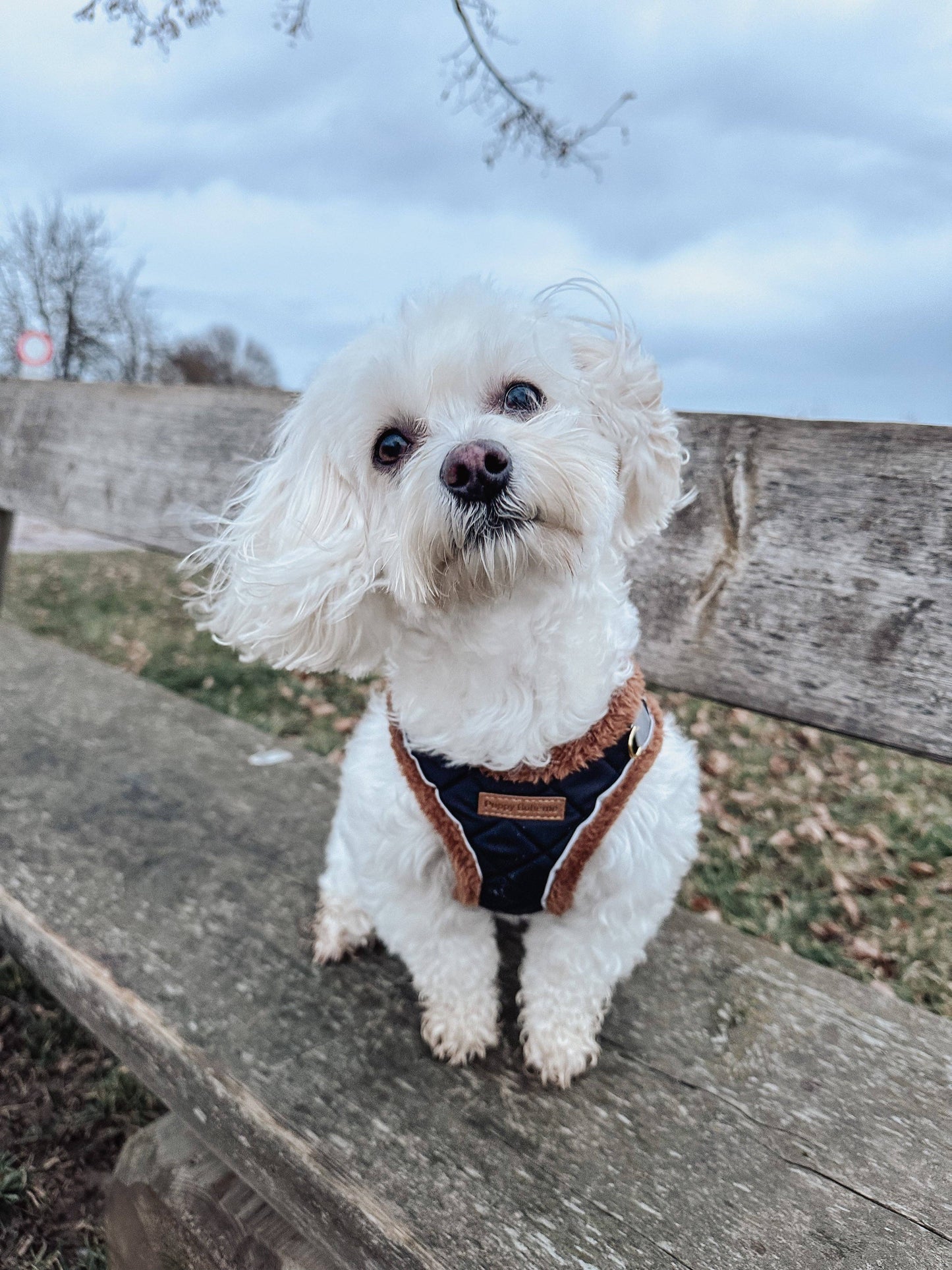 Quilted Teddy Step-in Dog Harness