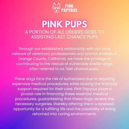 Ella Pink Dog Collar