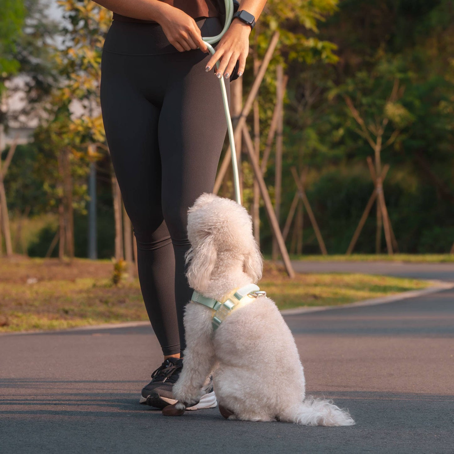 Jelly Dog Harness - Cream Soda