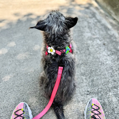 Daisy Dog Jiby - Pink