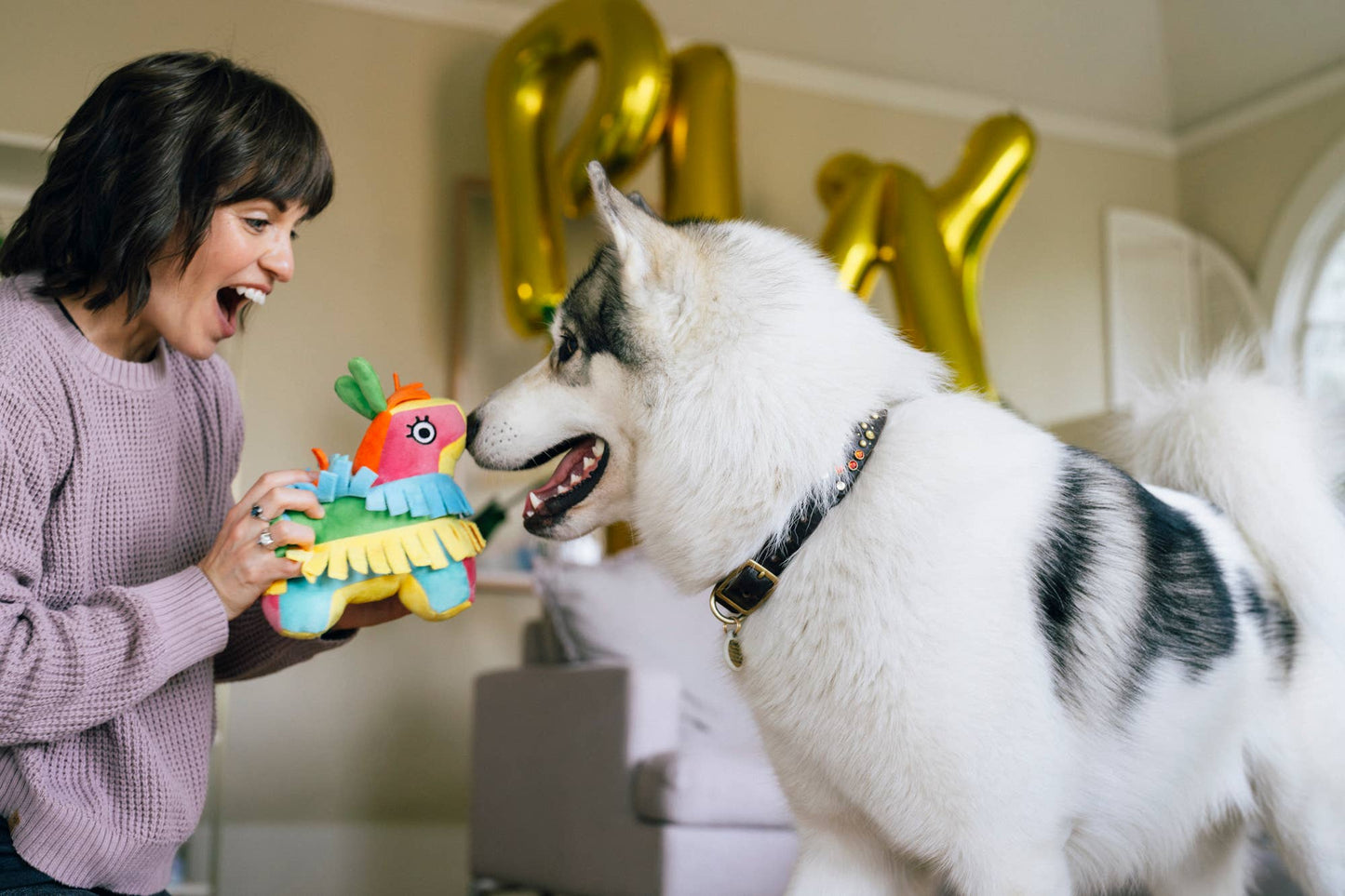 Party Animal Collection - Assorted Toys