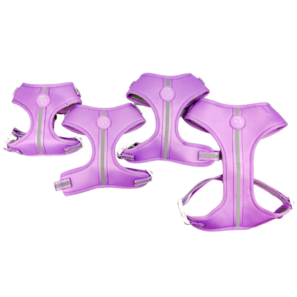 Shine Bright - Amethyst Adjustable Dog Harness