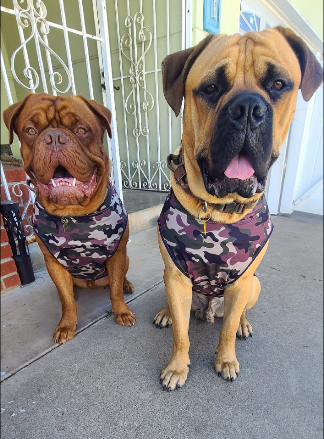 Classic Camo Dog Muscle Tee