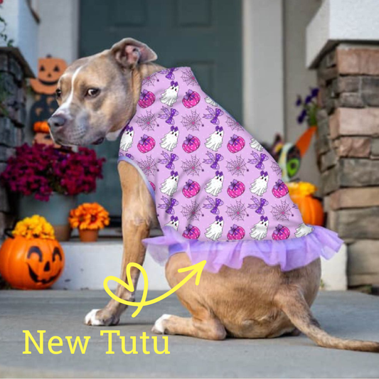 Gourd-geous Ghouls with Tutu