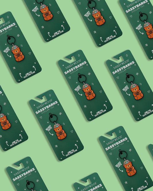 Dog Collar Tag - Hug Me Bear