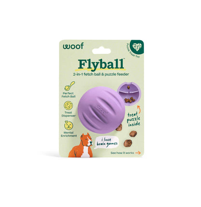 Flyball