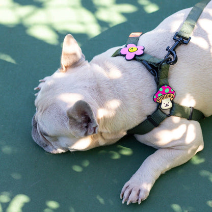 Daisy Dog Jiby - Pink