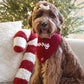 Christmas Dog Bandana - Merry