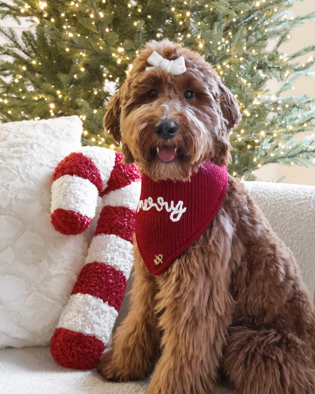 Christmas Dog Bandana - Merry