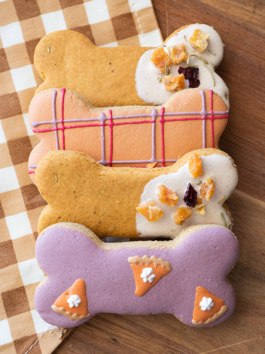 Feelin' Grateful Bone Box for Dogs