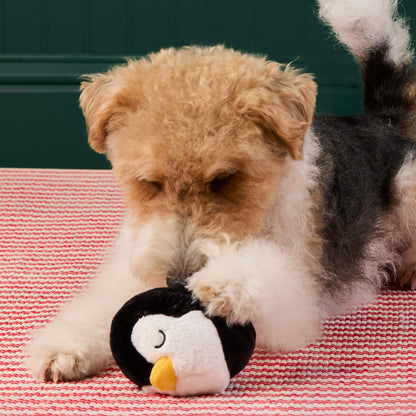 Penguin 2-in-1 Bounce Dog Toy