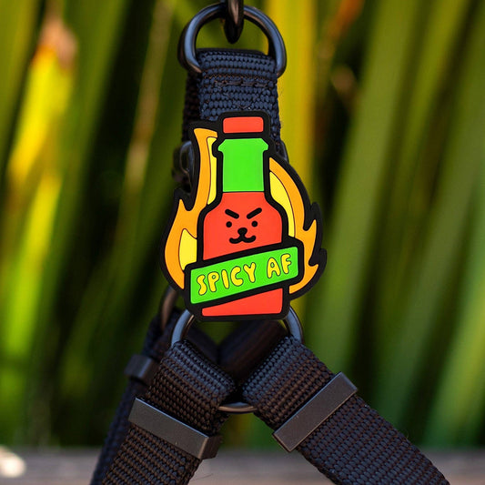 Hot Sauce Dog Jiby