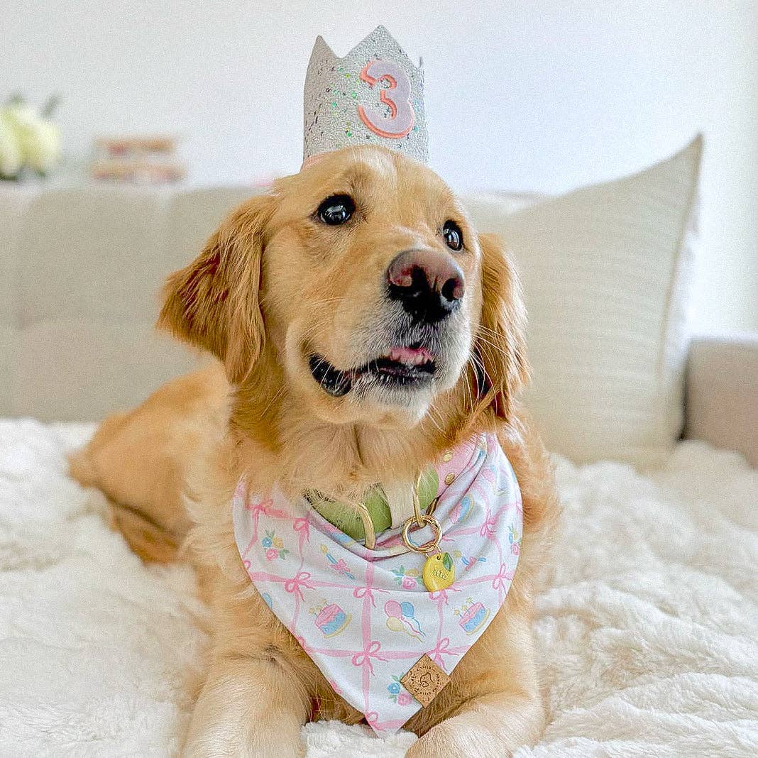 Pink Bows And Cake Birthday Celebration Bandana