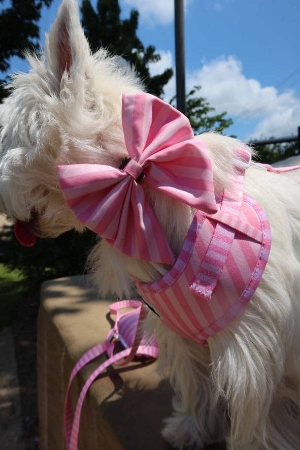 Pink on Pink Striped Bow