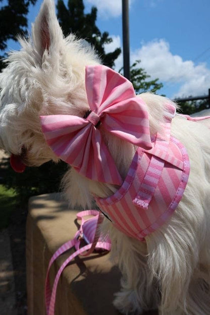 Pink on Pink Striped Bow