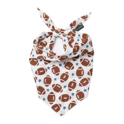 3 Pack of Sporting Dog Bandanas - Gift Box