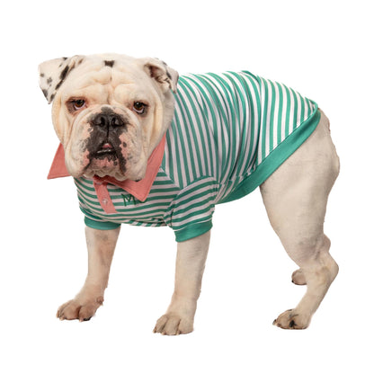 Green Stripe Polo with Pink Collar