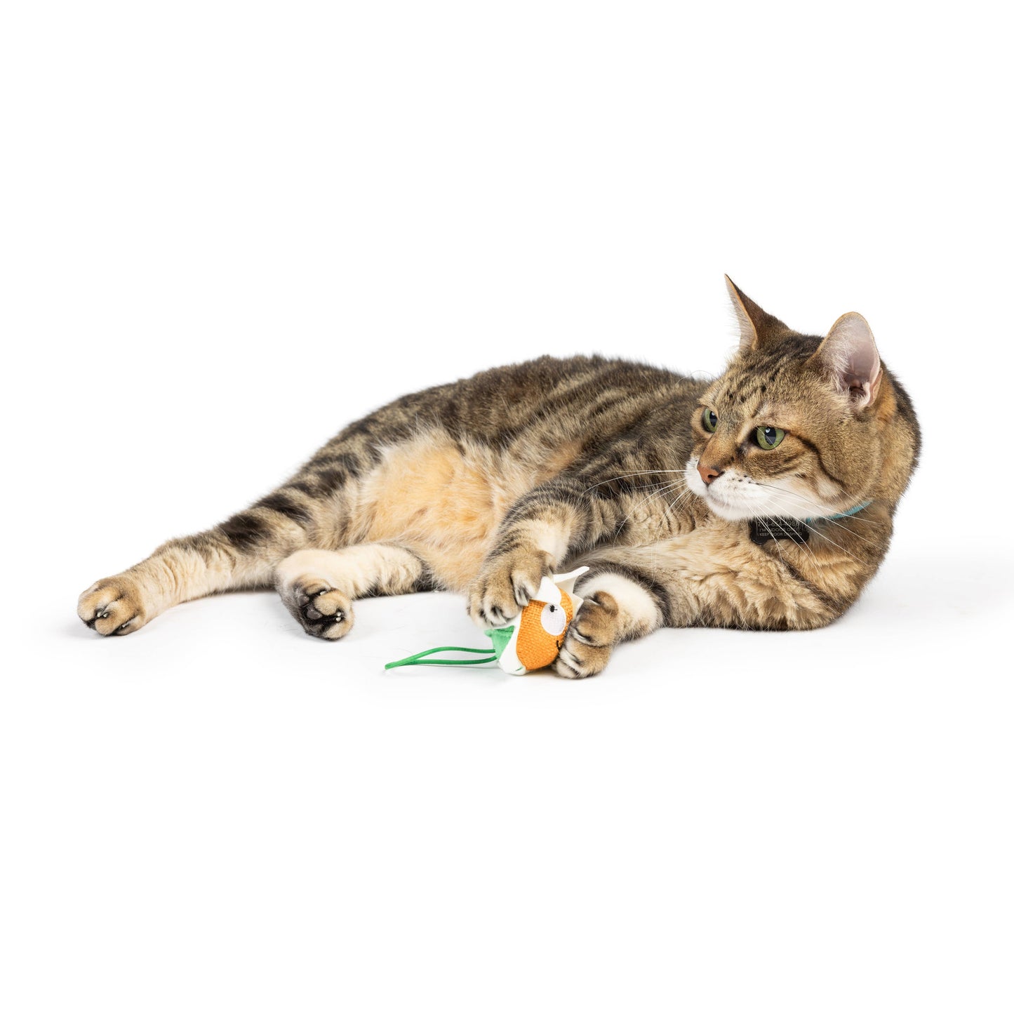 Flower Flinger Cat Toy