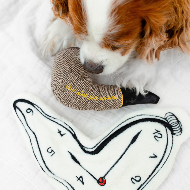Dali Enrichement Dog Toy