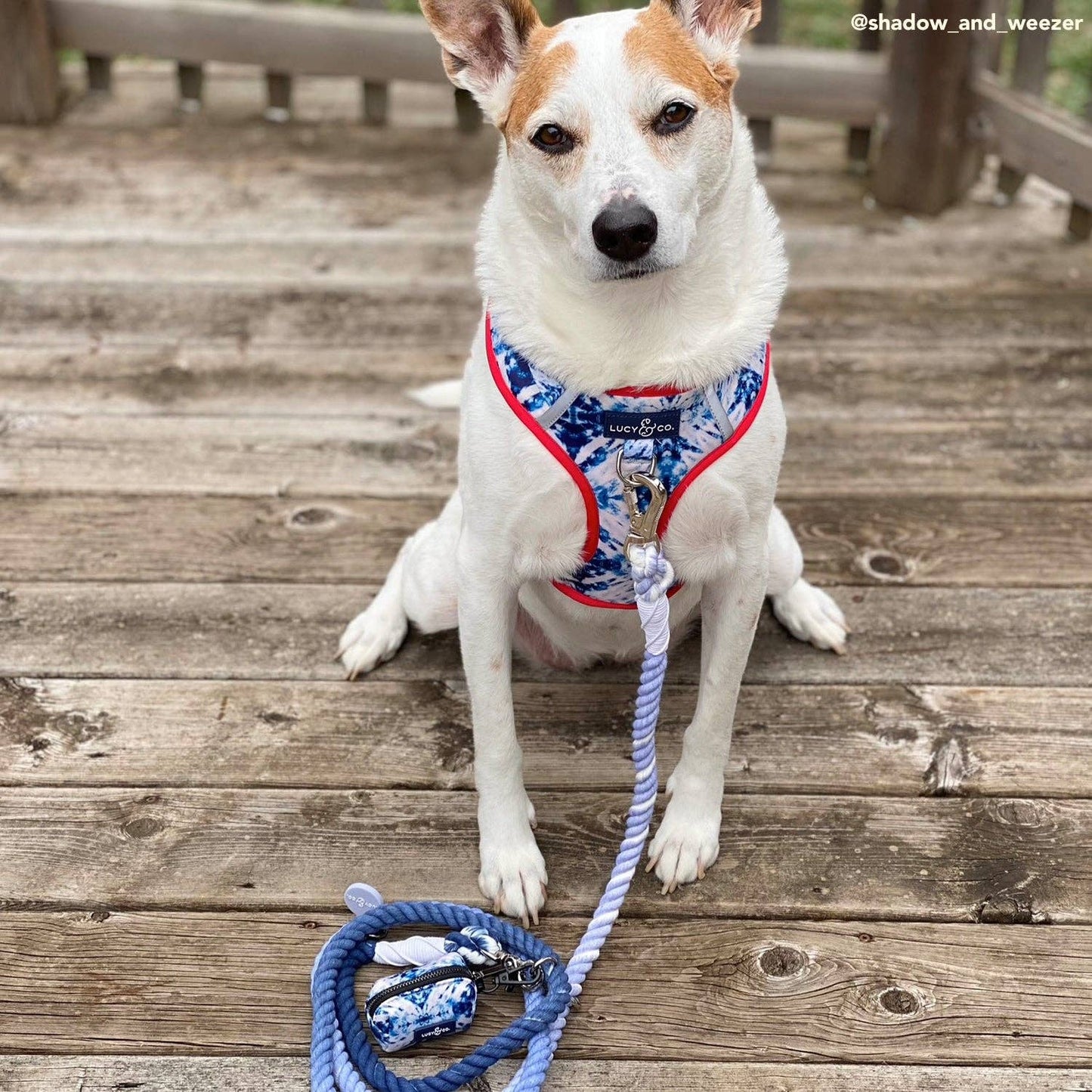 The Blueberry Twist Hands-Free Rope Leash