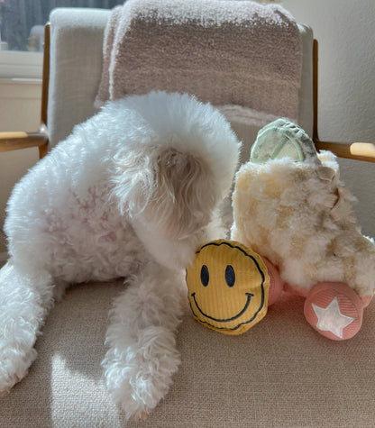 Roller Skate Enrichment Dog Toy