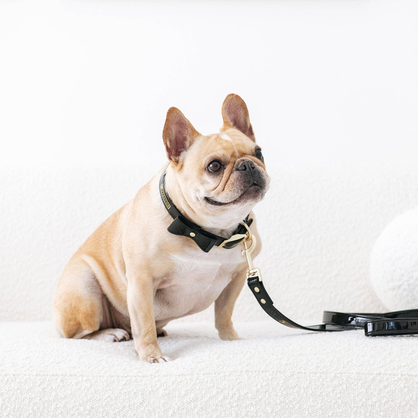 Frenchie Vegan Leather Collar, Leash, & Bow Tie Set