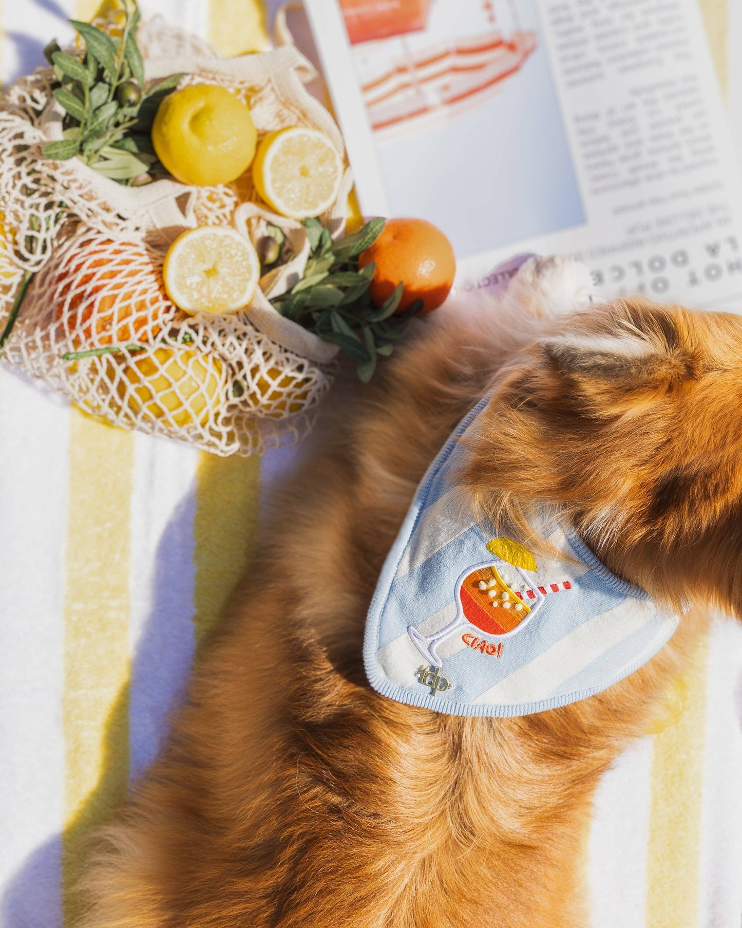 Spritz & Stripes Dog Bandana