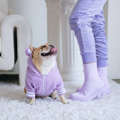 Sudadera con capucha para perro Frenchie - Teddy morado