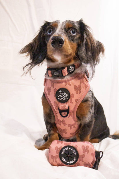 Dog Collar - Pink Coquette