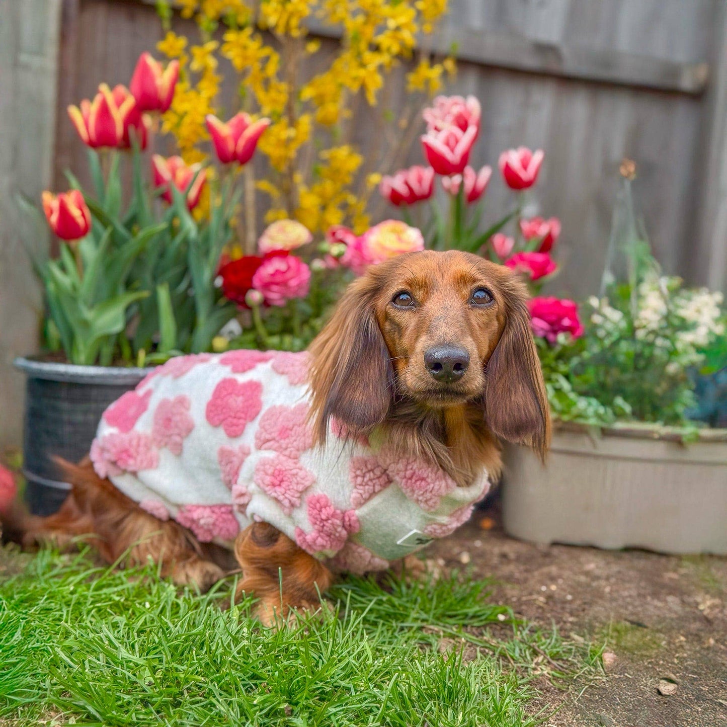 The Peony Pink Floral Fleece