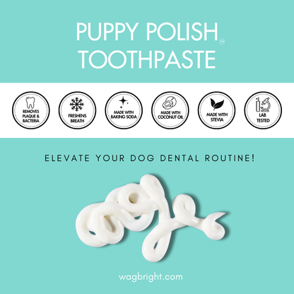 Pasta de dientes Puppy Polish - Filete Mignon (Carne de Res)