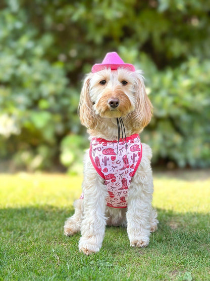 The Giddy up Pup Cooling Shirt