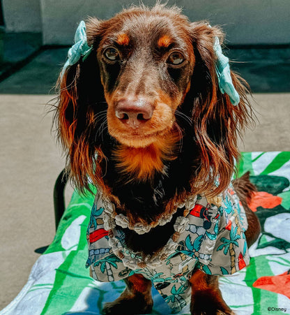 Mickey Mouse Dog Hawaiian Shirt