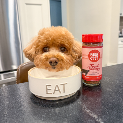 Treat Topper Beef Dog Food Topper