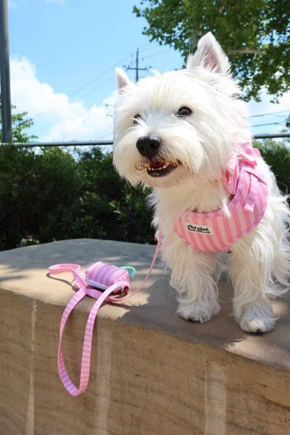 Pink on Pink Striped Harness
