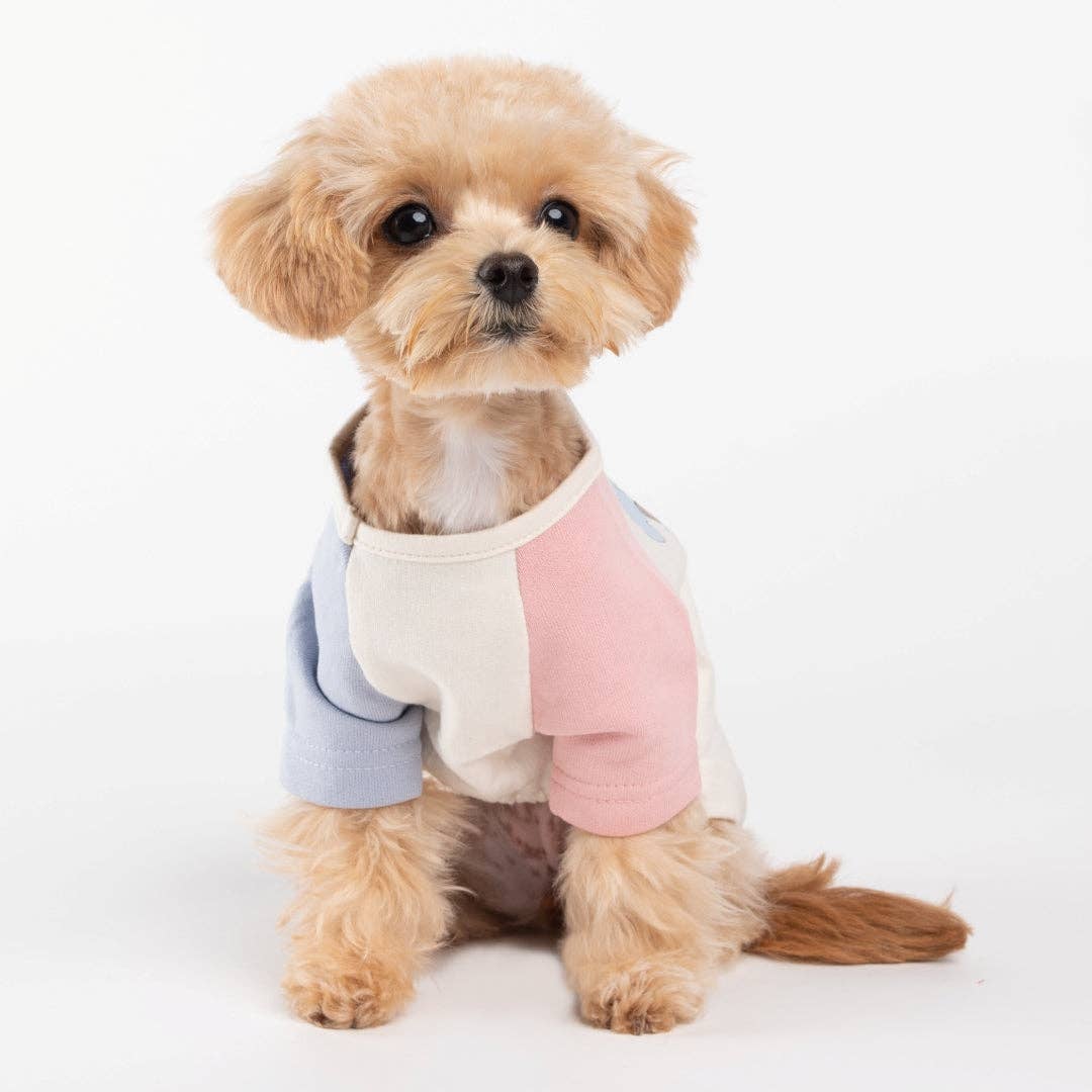 Contrasting Color Raglan Dog Shirt