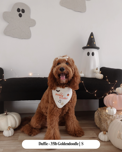 Knit Spooky Season Bandana