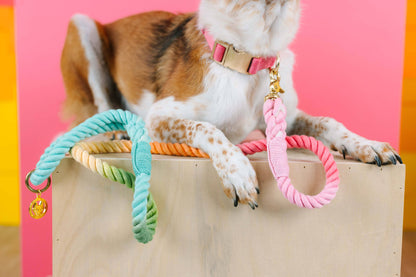 Ella Pink Dog Collar