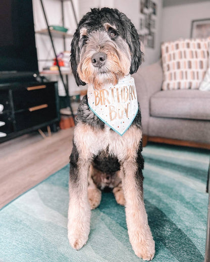 Confetti Birthday Girl or Birthday Boy Dog Bandana
