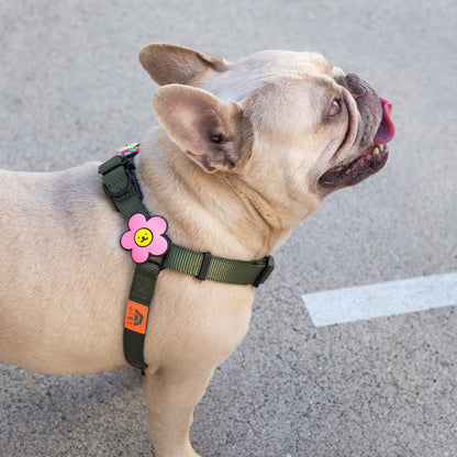 Daisy Dog Jiby - Pink