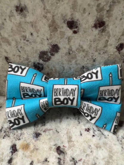 Birthday Boy Pet Bow Tie