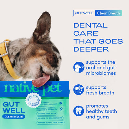 Native Pet GutWell Clean Breath, Dog Dental Care Supplement