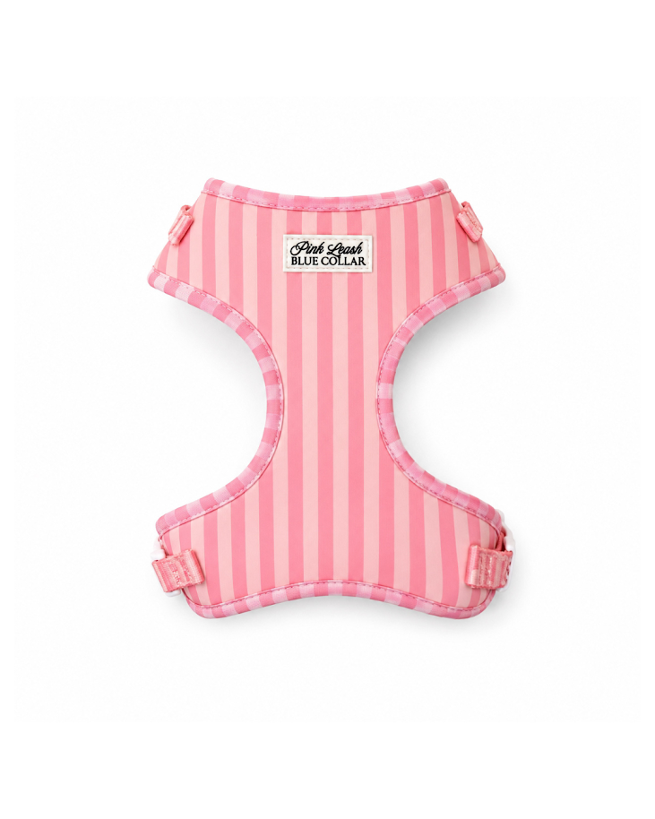 Pink on Pink Striped Harness