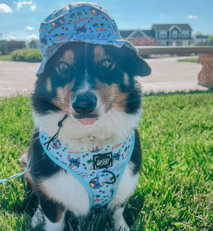 Dog Bucket Hat - Disney's Stitch